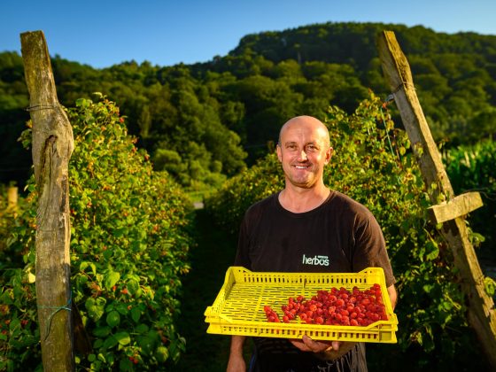 EU4AGRI: Maline evropske kvalitete “Herbos nature”
